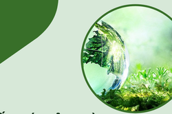 Doanh nghiệp có nhiều cơ sở được cấp giấy phép môi trường như thế nào?