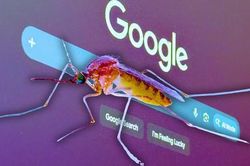 Google dự định tung 32 triệu con muỗi đực v&ocirc; sinh tại Mỹ để... diệt muỗi!