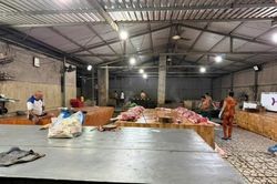 Đồng Tháp: Phát hiện 4 cơ sở giết mổ động vật trái phép, buộc ngưng hoạt động