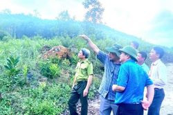 Gia Lai: Kiểm tra công tác quản lý, bảo vệ rừng tại An Lão
