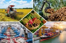Xuất khẩu nông lâm thủy sản vượt mốc 30 tỷ USD sau 5 tháng