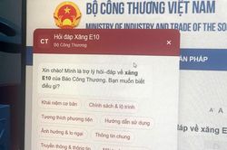Vận hành chatbot hỏi đáp về xăng E10