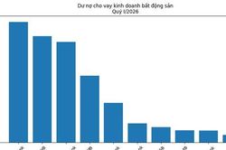 Ngân hàng nào có mức độ tập trung vốn vào bất động sản cao nhất?