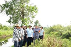 Cưỡng chế kiểm đếm bắt buộc, thu hồi đất phục vụ các dự án trọng điểm ở Hoài Đức