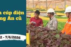 Lịch cúp điện Tây Ninh (Long An cũ) từ ngày 2 – 7/6/2026: Danh sách khu dân cư và tuyến đường bị mất điện xếp hàng dài