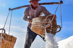 Nét đẹp trên cánh đồng muối Cần Giờ