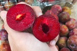 Ăn mận có tác dụng gì với sức khỏe?