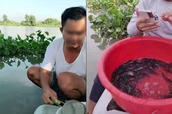 Phóng sinh qua livestream đang tiếp tay cho buôn bán động vật hoang dã