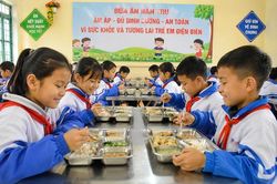 Phối hợp liên ngành tổ chức bữa ăn học đường tỉnh Điện Biên