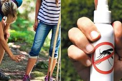 Bôi thuốc chống muỗi lại dễ bị muỗi đốt hơn? Phát hiện mới gây bất ngờ