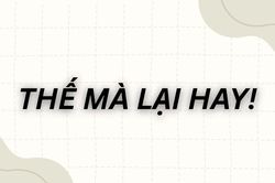 Meme 'Thế m&agrave; lại hay' l&agrave; g&igrave;, bắt nguồn từ đ&acirc;u m&agrave; g&acirc;y sốt c&otilde;i mạng?