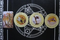 Tarot tuần n&agrave;y: Nh&acirc;n M&atilde; rung động tr&aacute;i tim, Song Ngư 'x&uacute; t&uacute;i m&egrave;' tr&uacute;ng ngay 'b&iacute;a'