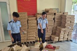 Gi&aacute;m s&aacute;t ti&ecirc;u hủy l&ocirc; thực phẩm nhập lậu trị gi&aacute; hơn 328 triệu đồng