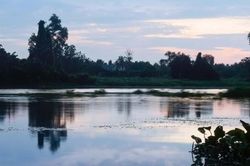 Trưng b&agrave;y 'Ch&uacute;ng t&ocirc;i, những d&ograve;ng s&ocirc;ng Nam Bộ' mở ra kh&ocirc;ng gian đối thoại giữa con người v&agrave; c&aacute;c d&ograve;ng s&ocirc;ng
