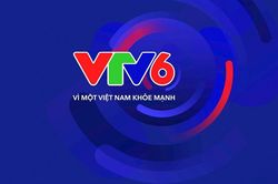 Cấp ph&eacute;p hoạt động k&ecirc;nh thể thao VTV6