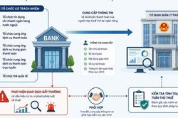Kh&ocirc;ng loại bỏ tr&aacute;ch nhiệm cung cấp th&ocirc;ng tin của tổ chức t&iacute;n dụng