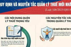 [Infographic] Quy định v&agrave; nguy&ecirc;n tắc quản l&yacute; thuế mới nhất (Luật số 108/2025/QH15)