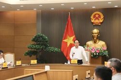 Khẩn trương tổng hợp, phân loại các kiến nghị về chính sách, vướng mắc phát sinh qua thực tiễn