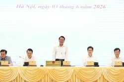 Quản l&yacute;, kiểm so&aacute;t chặt chẽ chất lượng xăng sinh học E10