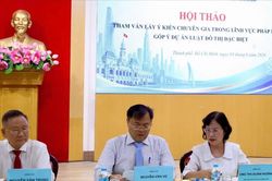 Cần thị trường dịch vụ pháp lý tương xứng đô thị đặc biệt