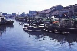Tổ chức Tuần lễ trái cây 'Trên bến dưới thuyền' tại Bến Bình Đông