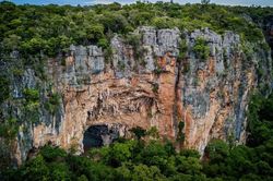 Đột nhập 'nhà nguyện của người tiền sử' giữa rừng rậm Brazil
