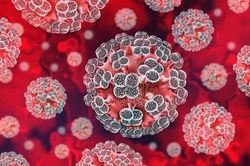 Chuy&ecirc;n gia l&ecirc;n tiếng về 'hiểm họa to&agrave;n cầu mang t&ecirc;n virus Hanta'