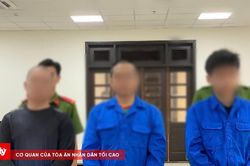 Lĩnh án tù vì mua bán 'cỏ Mỹ'