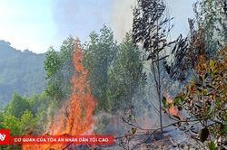 Nâng cảnh báo cháy rừng lên cấp nguy hiểm