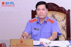 Ph&oacute; Viện trưởng VKSND tối cao Nguyễn Quang Dũng l&agrave; Ph&oacute; Chủ tịch Hội đồng quốc gia về tư ph&aacute;p người chưa th&agrave;nh ni&ecirc;n