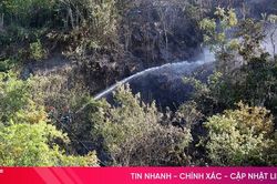 Nhanh ch&oacute;ng dập tắt lửa rừng ở Nghi Xu&acirc;n