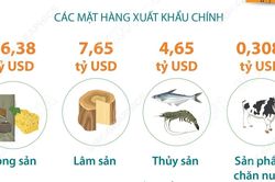 Xuất khẩu nông, lâm, thủy sản trong 5 tháng vượt 30 tỷ USD