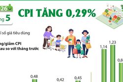 Nắng n&oacute;ng l&agrave;m tăng chi ph&iacute; sinh hoạt, CPI th&aacute;ng 5 nh&iacute;ch l&ecirc;n 0,29%