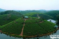 Nghệ An chấm dứt dự án du lịch hơn 1.500 tỷ đồng nằm im suốt 9 năm