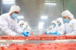 Thị trường Halal mở dư địa tăng trưởng mới cho doanh nghiệp Việt