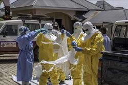 Dịch Ebola: WHO và EU tăng cường hợp tác ứng phó