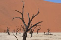 Liên Hợp Quốc cảnh báo về ảnh hưởng thời tiết từ hiện tượng El Nino