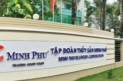 L&atilde;nh đạo Minh Ph&uacute; đăng k&yacute; b&aacute;n gần hết cổ phiếu trước thềm ĐHĐCĐ 2026