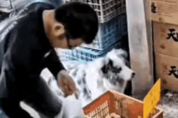 Đi mua trứng, người đàn ông có hành động khiến chủ tiệm tạp hóa bức xúc sau khi xem lại camera