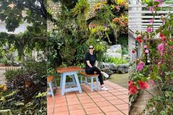 Biệt thự ngập tràn hoa lá, cỏ cây của người đẹp Thân Thúy Hà