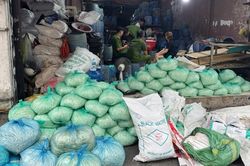 Nhóm đối tượng dùng chất cấm sản xuất giá đỗ, thu lợi khoảng 8 tỷ đồng