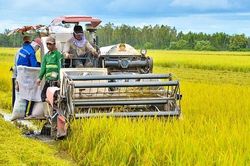 Sản xuất n&ocirc;ng nghiệp phục hồi, nu&ocirc;i trồng thủy sản tiếp tục khởi sắc
