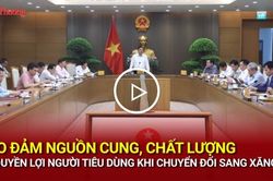 Bảo đảm nguồn cung, chất lượng v&agrave; quyền lợi người ti&ecirc;u d&ugrave;ng khi chuyển đổi sang xăng E10