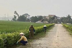 Ph&aacute;t huy vai tr&ograve; chủ thể của người d&acirc;n