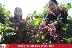 Văn hóa càphê đưa Buôn Ma Thuột lọt top 15 điểm đến ẩm thực hàng đầu thế giới