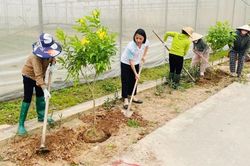 Phụ nữ Bắc Ninh lan tỏa lối sống xanh