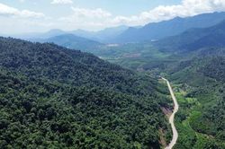 Bắc Ninh cảnh b&aacute;o ch&aacute;y rừng cấp cực kỳ nguy hiểm tại nhiều địa phương