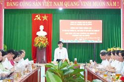 Phường Hội An Đông thu ngân sách đạt hơn 95% dự toán năm