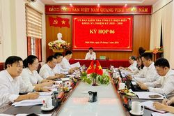 Kết quả kỳ họp thứ 6 của Ủy ban Kiểm tra Tỉnh ủy kh&oacute;a XV