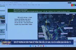 Xem xét phương án chỉnh trang hệ thống công viên, cây xanh, vỉa hè và không gian văn hóa 7-5
